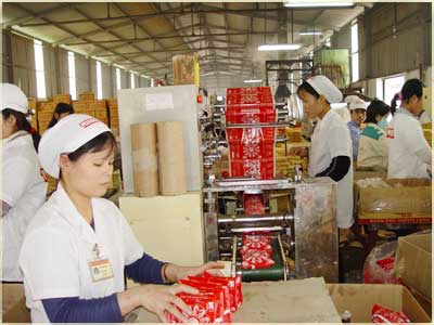 Giảm 30% thuế thu nhập doanh nghiệp từ quý IV/2008